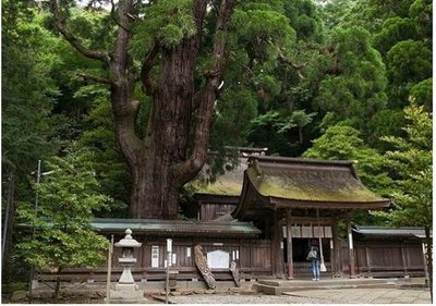 ⛩️ 와카사히코 신사 (와카사히코 진자) 이미지 2